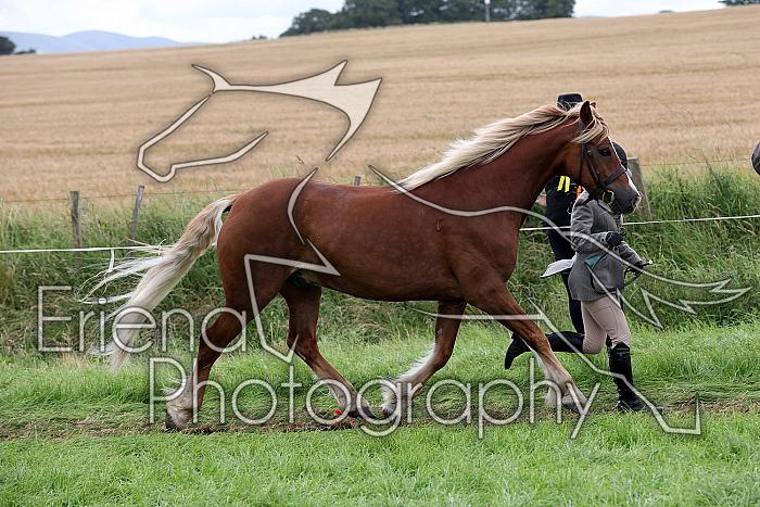 Carnwath2025Ring1848