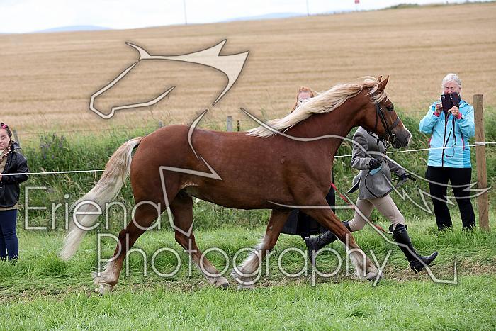 Carnwath2025Ring1850