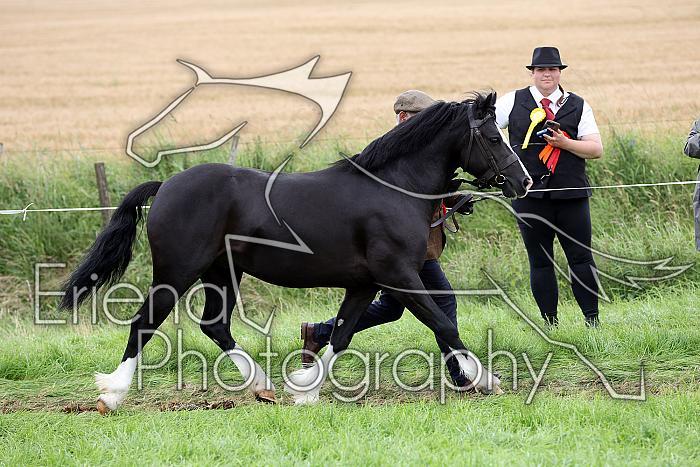 Carnwath2025Ring1857