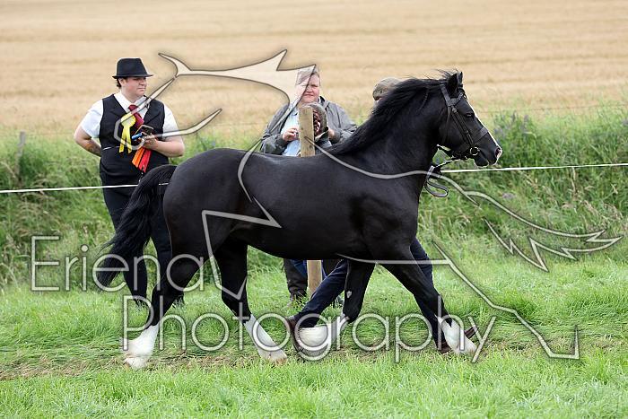 Carnwath2025Ring1858