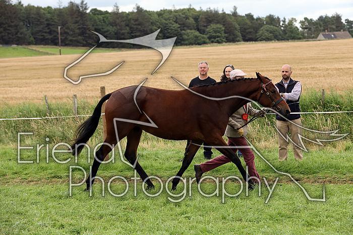 Carnwath2025Ring1870