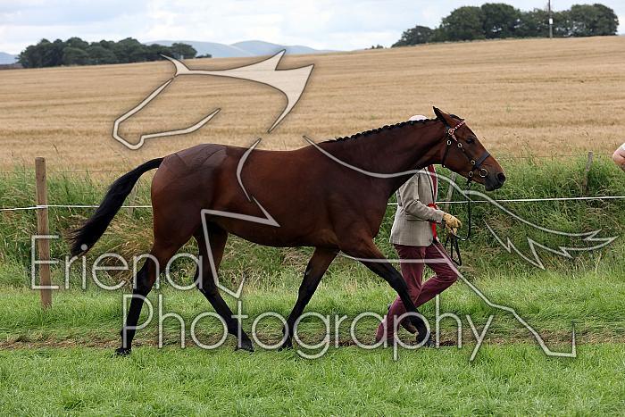 Carnwath2025Ring1872