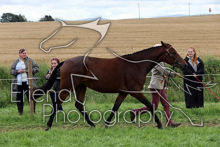 Carnwath2025Ring1874