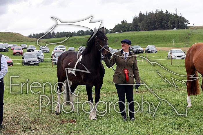 Carnwath2025Ring1880