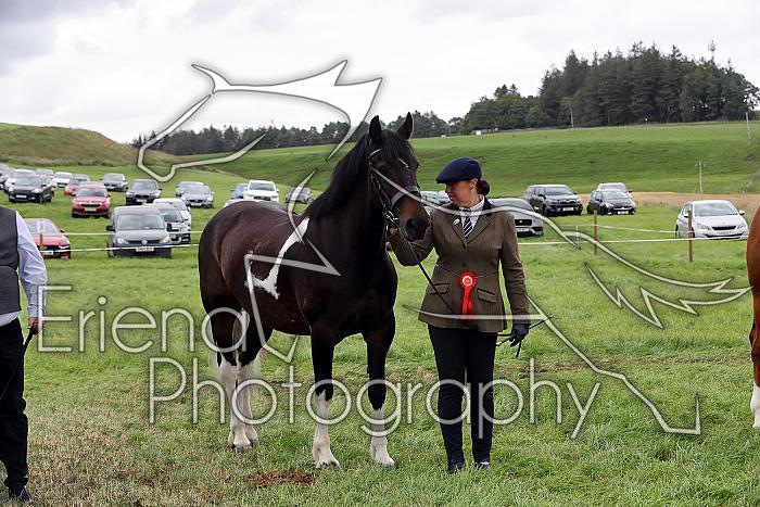 Carnwath2025Ring1881