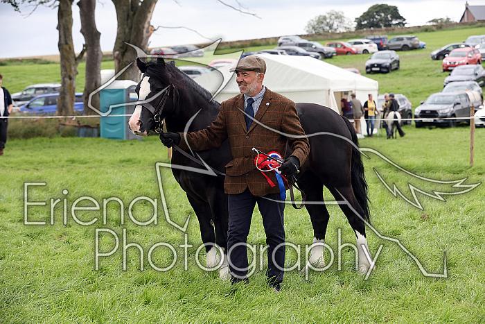 Carnwath2025Ring1886