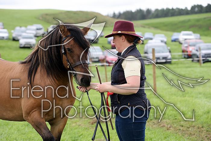 Carnwath2025Ring1890