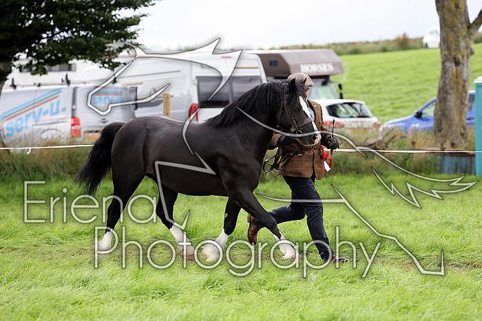 Carnwath2025Ring1891
