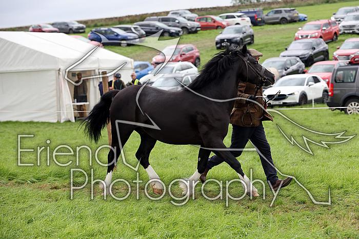 Carnwath2025Ring1892