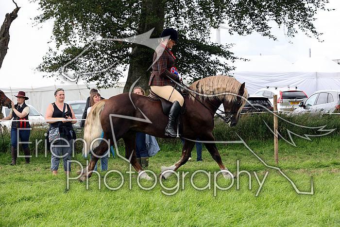 Carnwath2025Ring1904