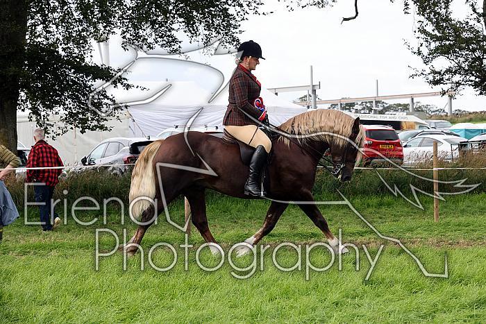 Carnwath2025Ring1905