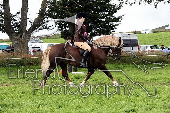 Carnwath2025Ring1907