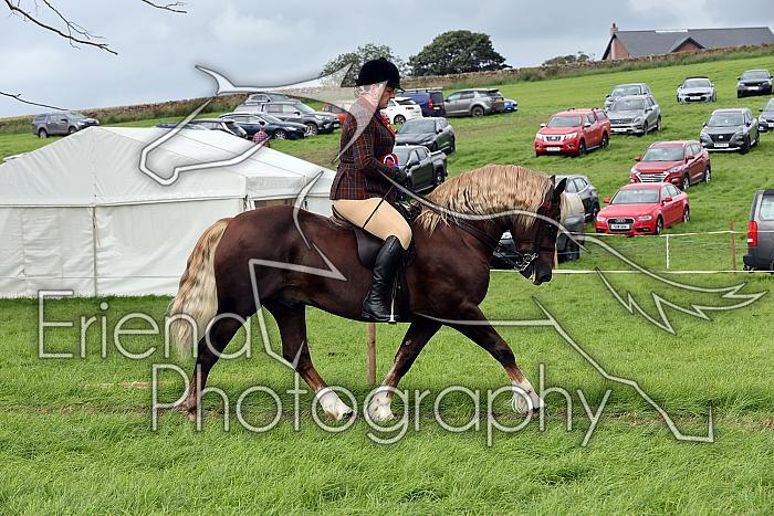 Carnwath2025Ring1910