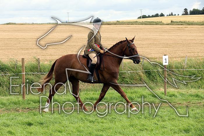 Carnwath2025Ring1911