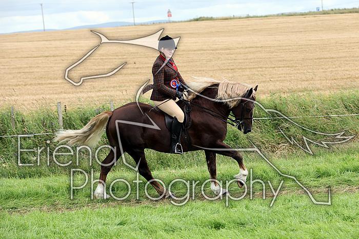 Carnwath2025Ring1914