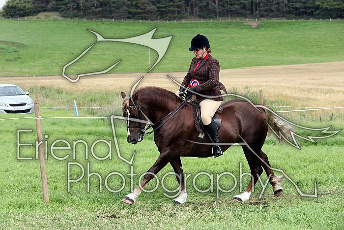 Carnwath2025Ring1927