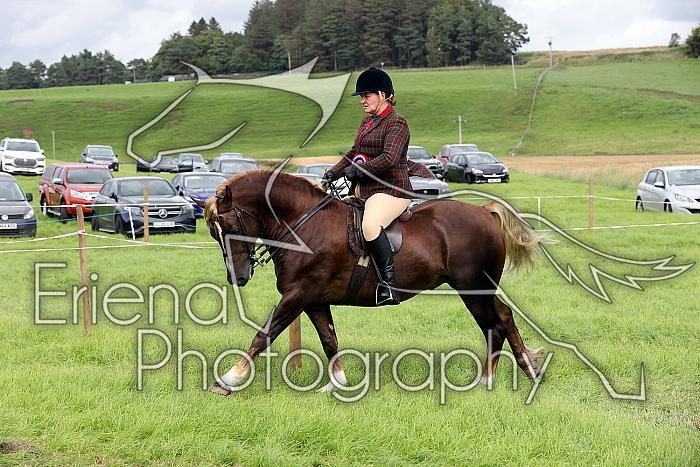 Carnwath2025Ring1929