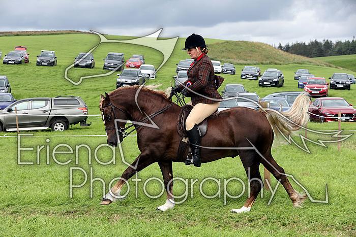 Carnwath2025Ring1931