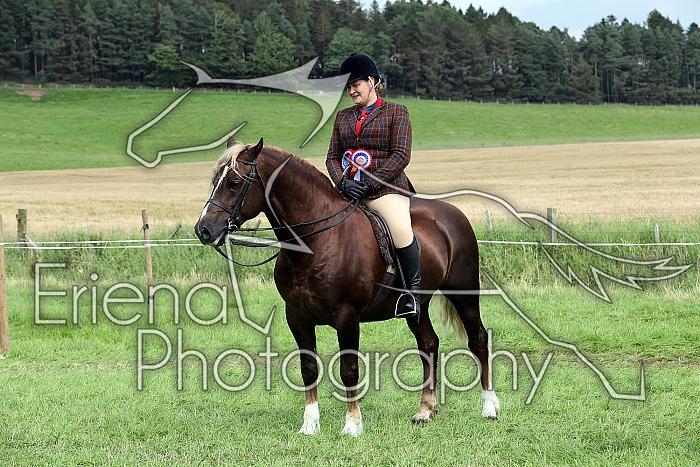 Carnwath2025Ring1935