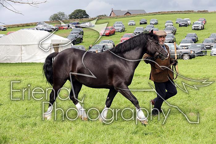 Carnwath2025Ring1938