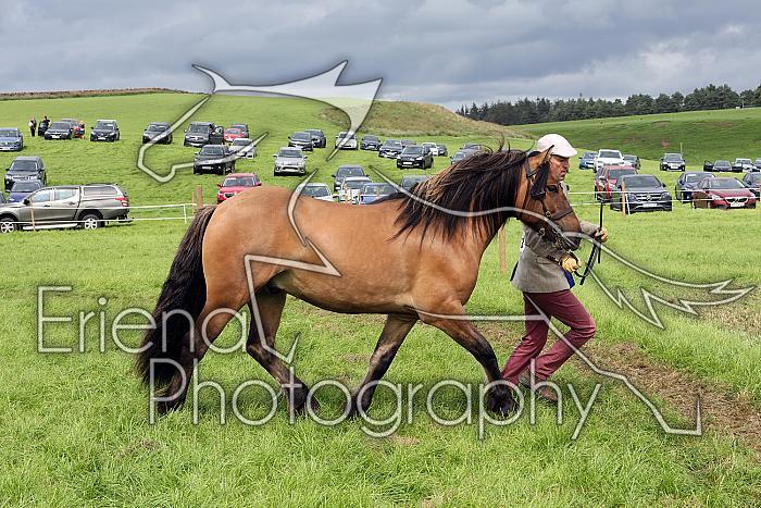 Carnwath2025Ring1945