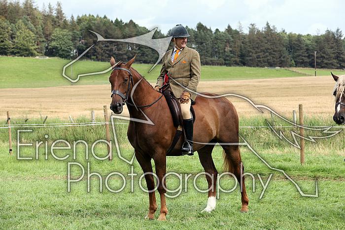 Carnwath2025Ring1953