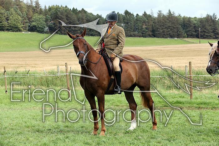 Carnwath2025Ring1954