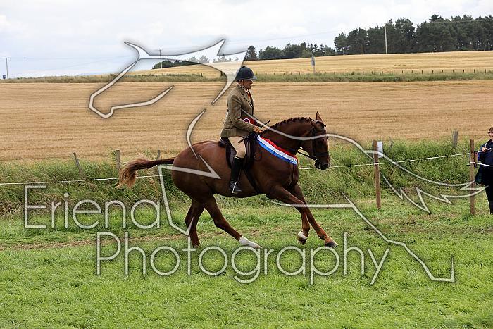 Carnwath2025Ring1978