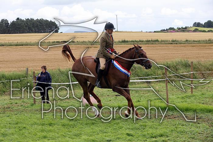 Carnwath2025Ring1980