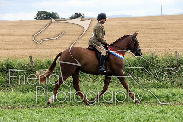 Carnwath2025Ring1988