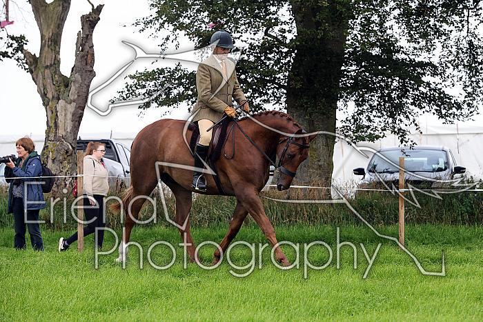 Carnwath2025Ring2005