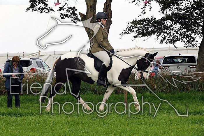 Carnwath2025Ring2008