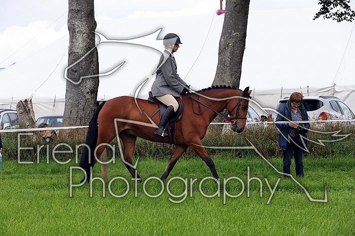 Carnwath2025Ring2009