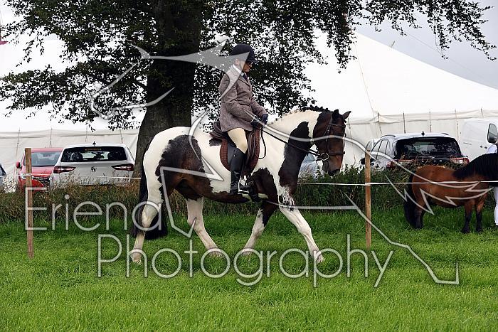 Carnwath2025Ring2011