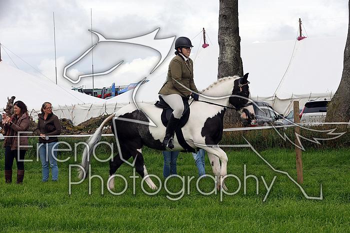 Carnwath2025Ring2012