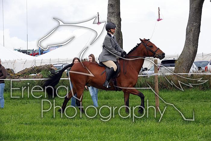 Carnwath2025Ring2013