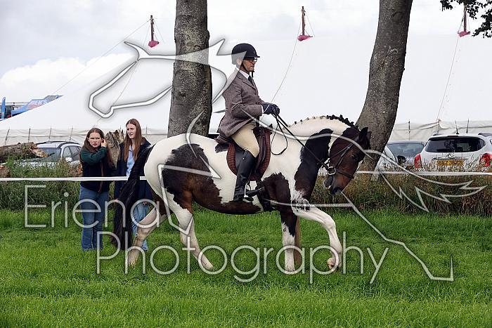 Carnwath2025Ring2015
