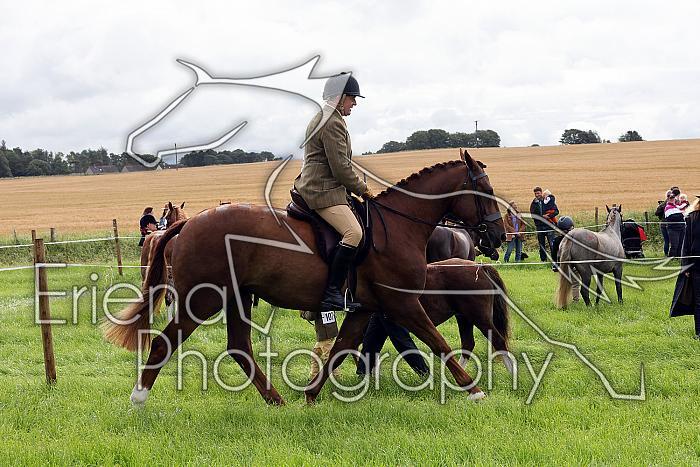 Carnwath2025Ring2022