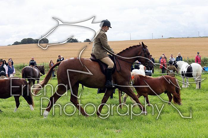 Carnwath2025Ring2023