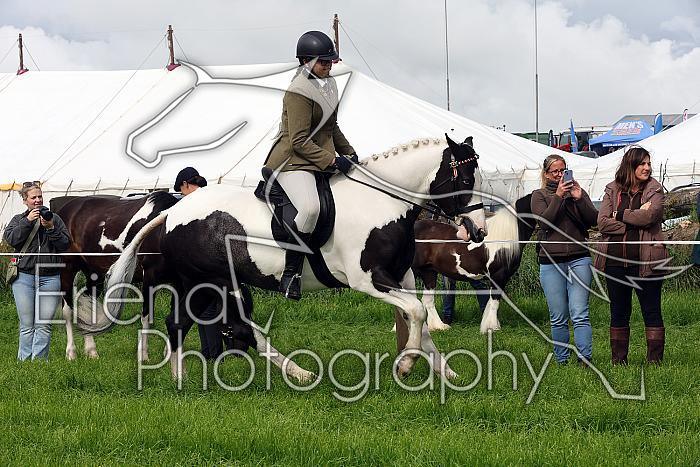 Carnwath2025Ring2030