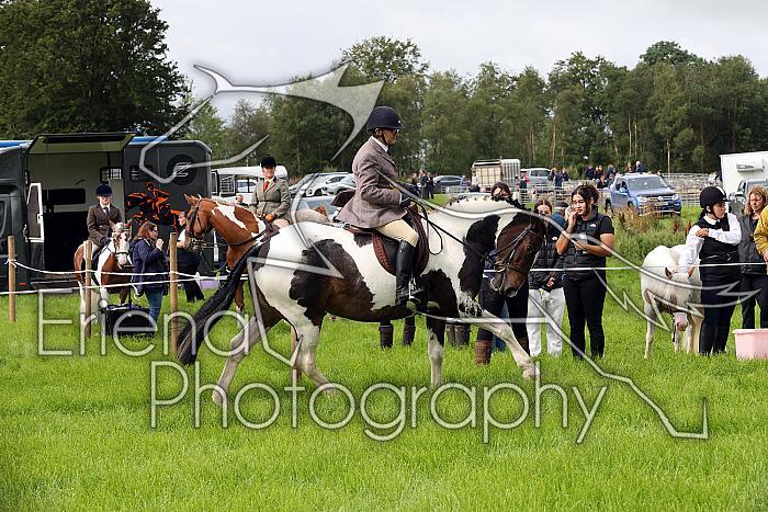 Carnwath2025Ring2031