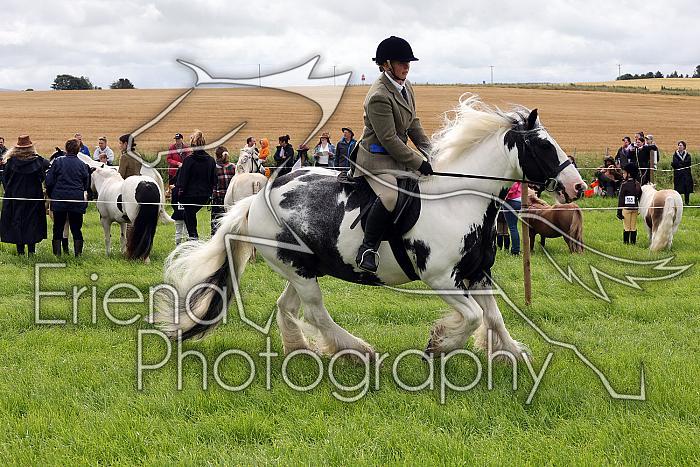 Carnwath2025Ring2046