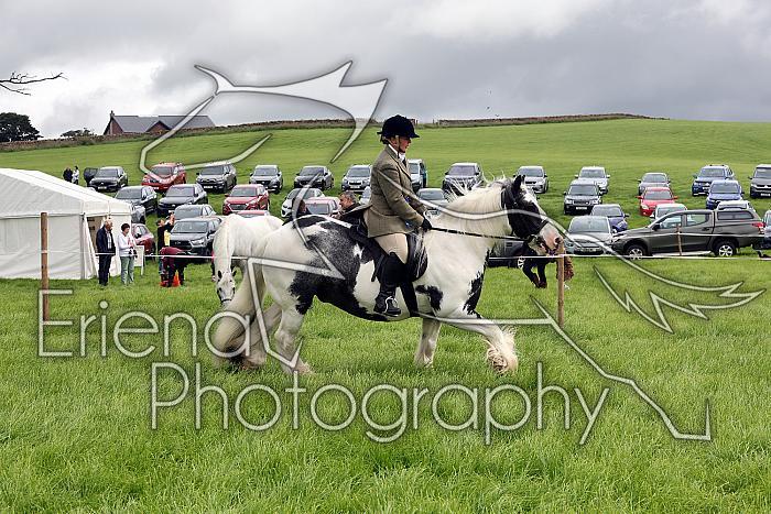 Carnwath2025Ring2051