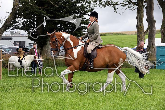 Carnwath2025Ring2061