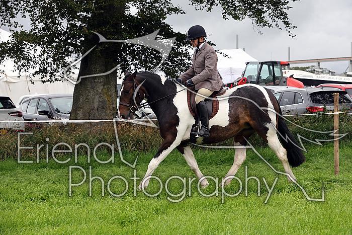 Carnwath2025Ring2069
