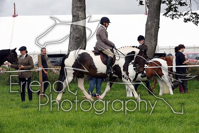 Carnwath2025Ring2077