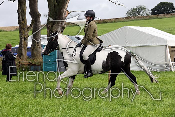 Carnwath2025Ring2085