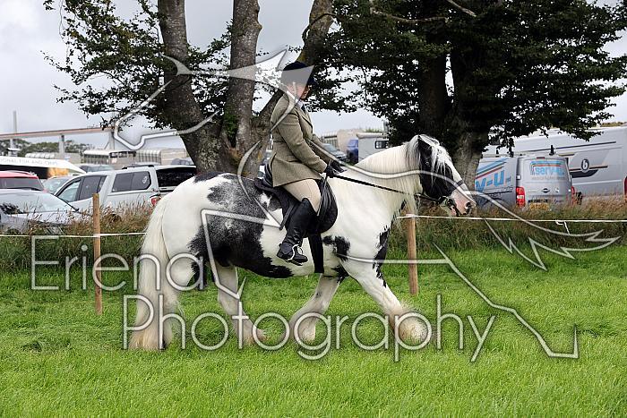 Carnwath2025Ring2090