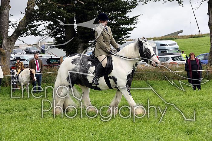 Carnwath2025Ring2091
