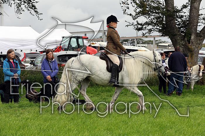 Carnwath2025Ring2097